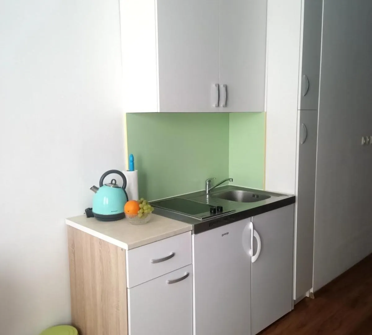 Apartment Lana 诺维·维诺多尔斯基